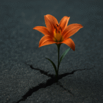 Uma vibrante flor laranja (lírio) crescendo forte e linda através de uma rachadura em um asfalto escuro. A imagem simboliza superação, resiliência e a vida quebrando ciclos difíceis, em referência ao livro "É Assim que Acaba".